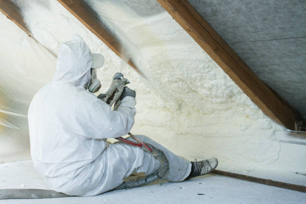 Eco-Friendly or Green Insulation Solutions in Claryville, KY